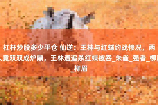 杠杆炒股多少平仓 仙逆：王林与红蝶约战惨况，两人竟双双成炉鼎，王林遭追杀红蝶被吞_朱雀_强者_柳眉