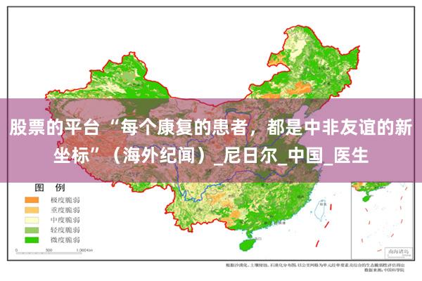 股票的平台 “每个康复的患者，都是中非友谊的新坐标”（海外纪闻）_尼日尔_中国_医生