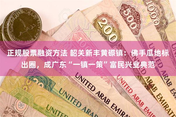 正规股票融资方法 韶关新丰黄磜镇：佛手瓜地标出圈，成广东“一镇一策”富民兴业典范