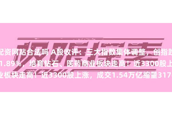 配资网站合法吗 A股收评：三大指数集体调整，创指跌0.25%北证50逆势涨1.89%，培育钻石、医药商业板块走高！近3300股上涨，成交1.54万亿缩量3176亿