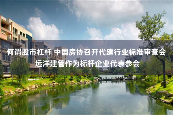 何谓股市杠杆 中国房协召开代建行业标准审查会 远洋建管作为标杆企业代表参会