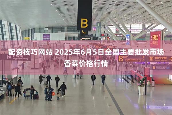 配资技巧网站 2025年6月5日全国主要批发市场香菜价格行情