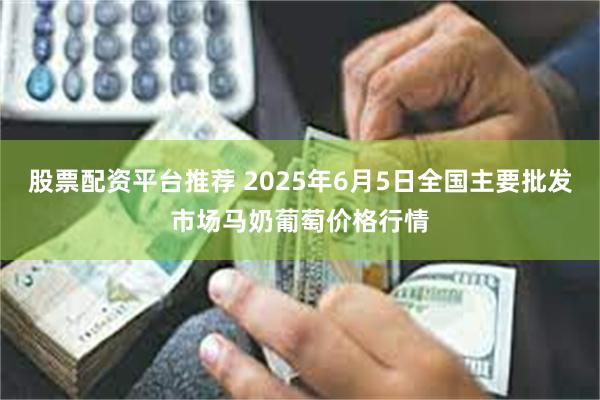 股票配资平台推荐 2025年6月5日全国主要批发市场马奶葡萄价格行情