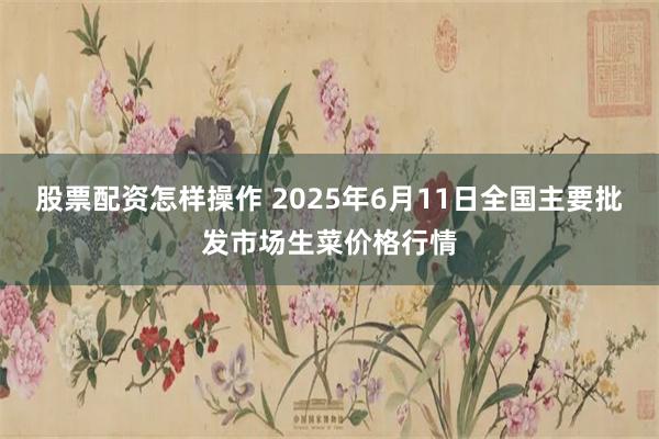 股票配资怎样操作 2025年6月11日全国主要批发市场生菜价格行情