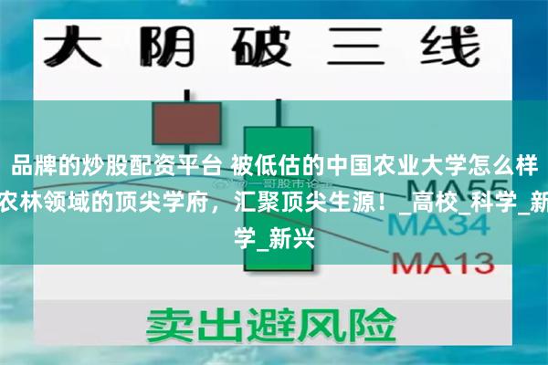 品牌的炒股配资平台 被低估的中国农业大学怎么样？农林领域的顶尖学府，汇聚顶尖生源！_高校_科学_新兴