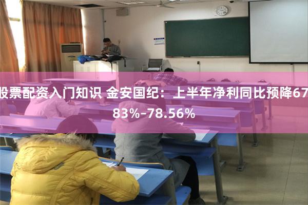 股票配资入门知识 金安国纪：上半年净利同比预降67.83%–78.56%