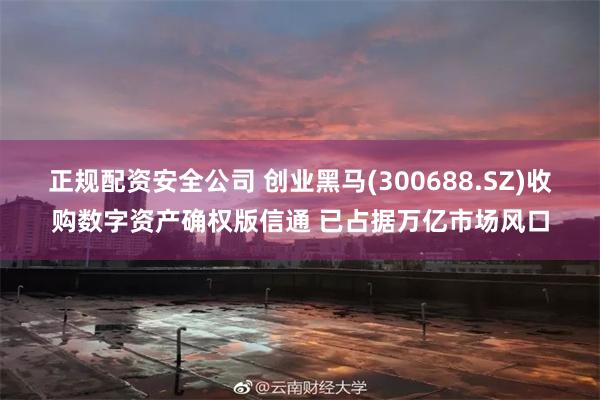 正规配资安全公司 创业黑马(300688.SZ)收购数字资产确权版信通 已占据万亿市场风口