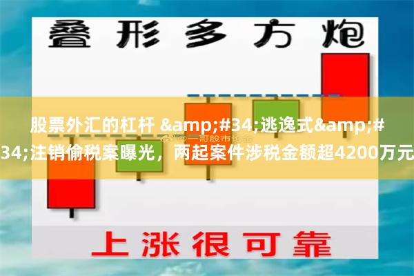 股票外汇的杠杆 &#34;逃逸式&#34;注销偷税案曝光，两起案件涉税金额超4200万元